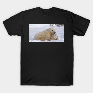 Polar bear family resting T-Shirt